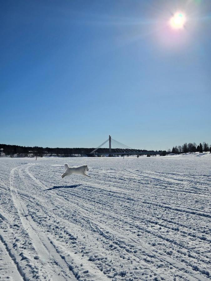Make Yourself At Home Rovaniemi Exterior foto